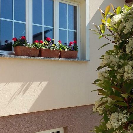 Apartments Place4You Bjelovar Buitenkant foto